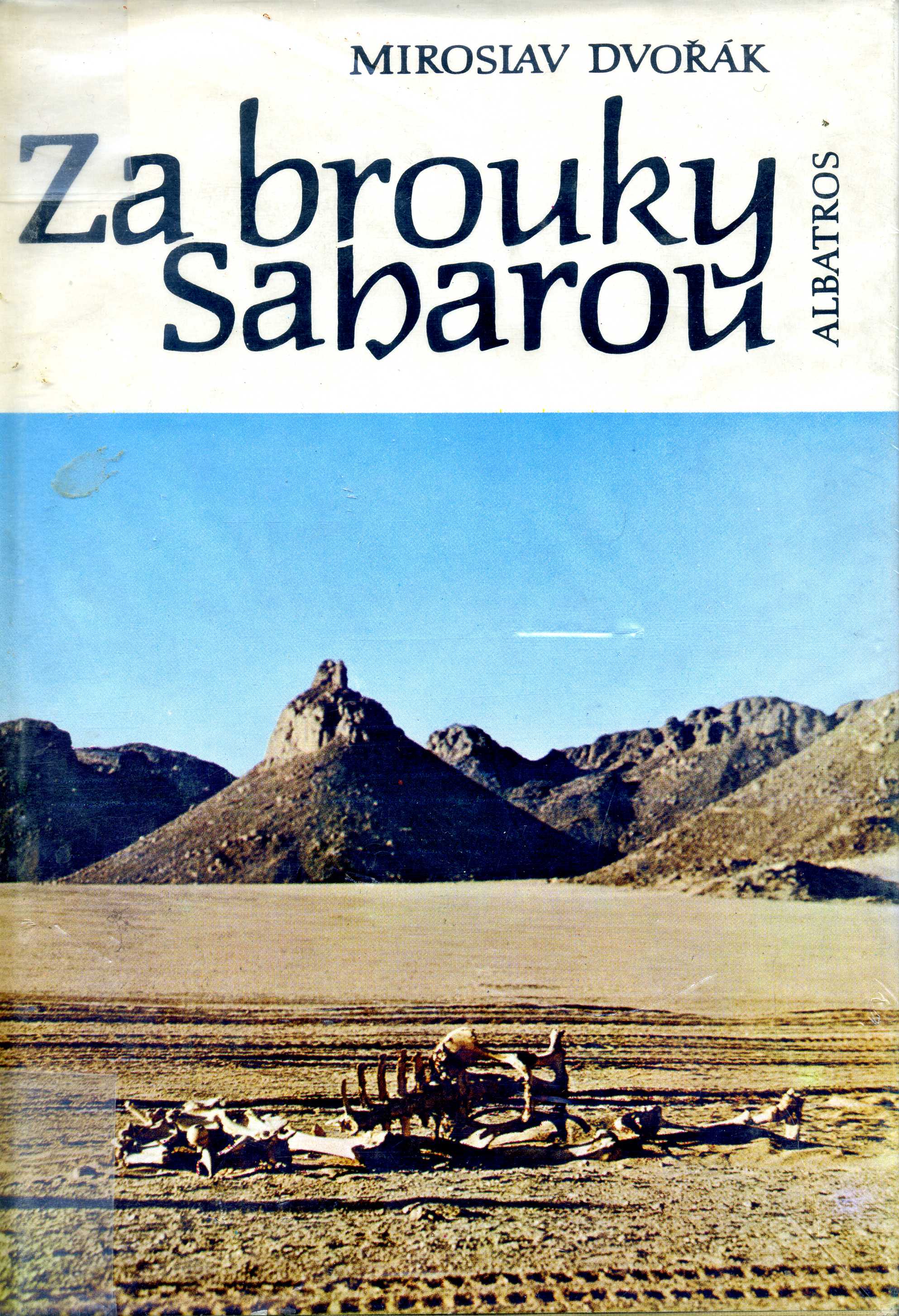 Za brouky Saharou