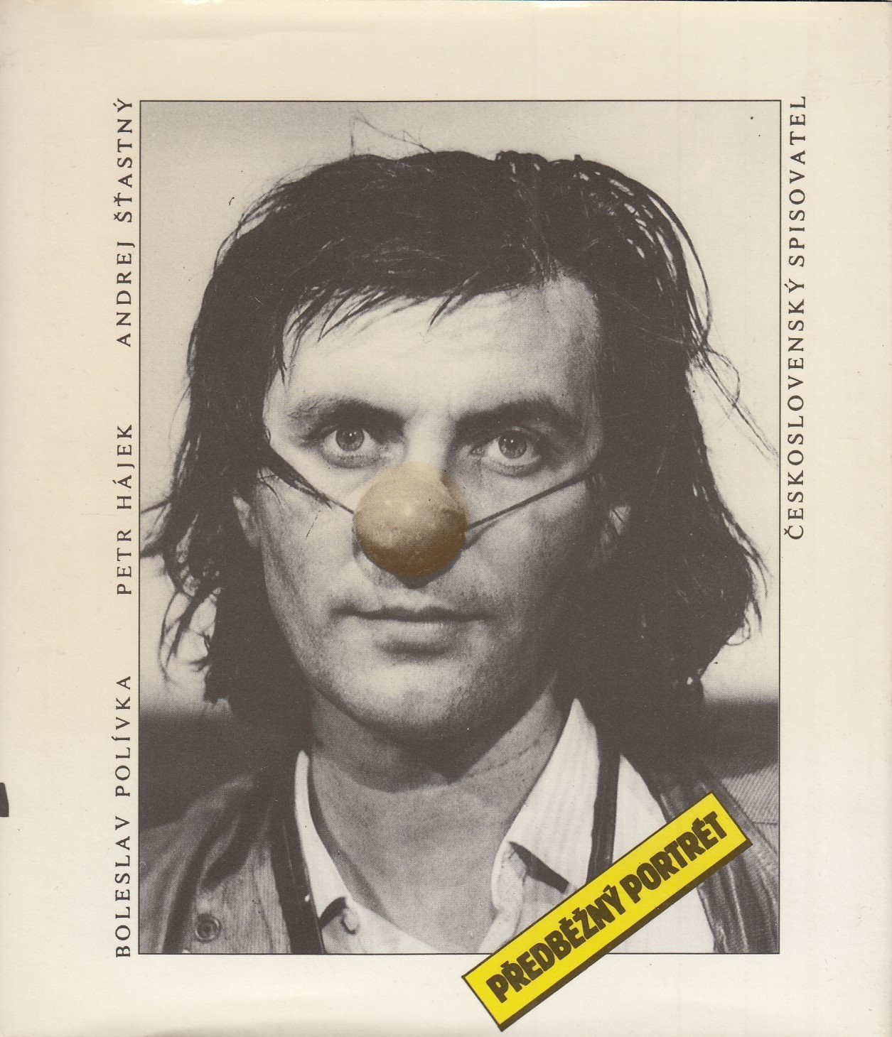 Předběžný portrét