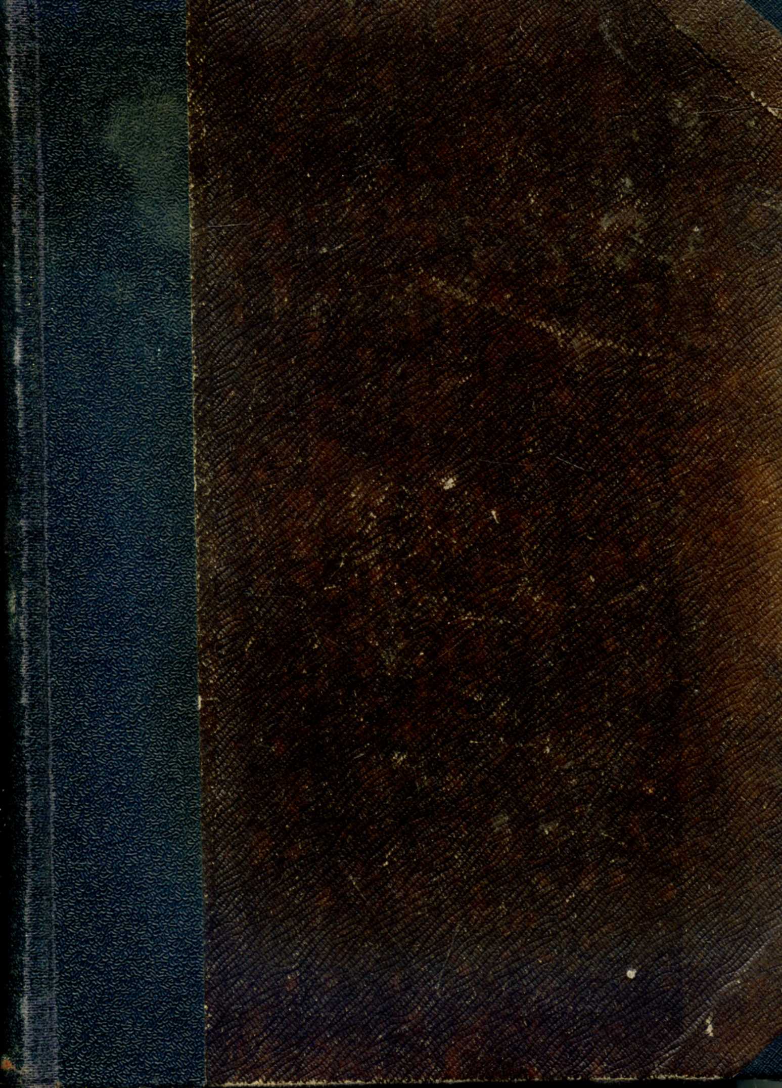 Bratrstvo - II. - Mária
