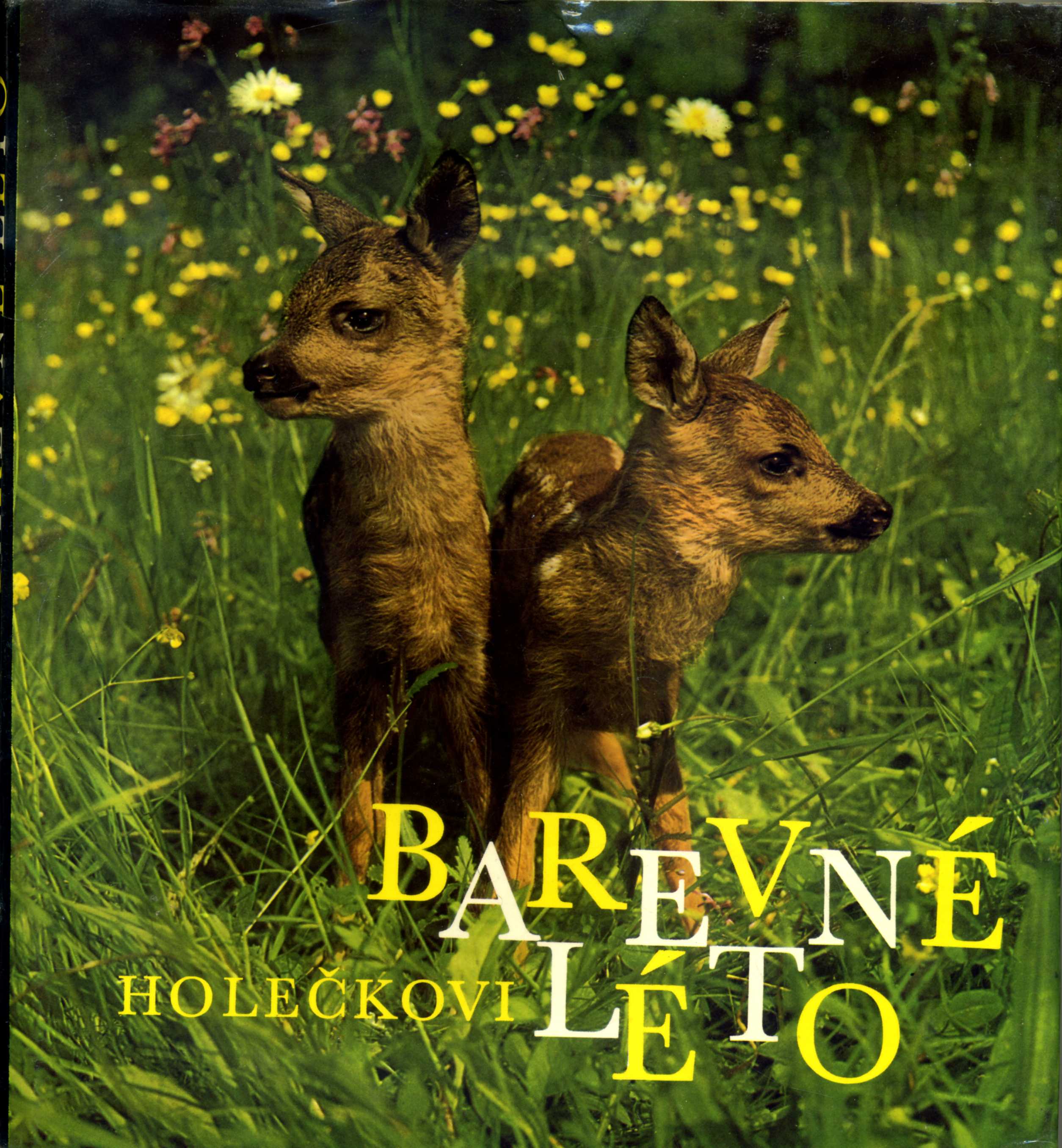 Barevné léto