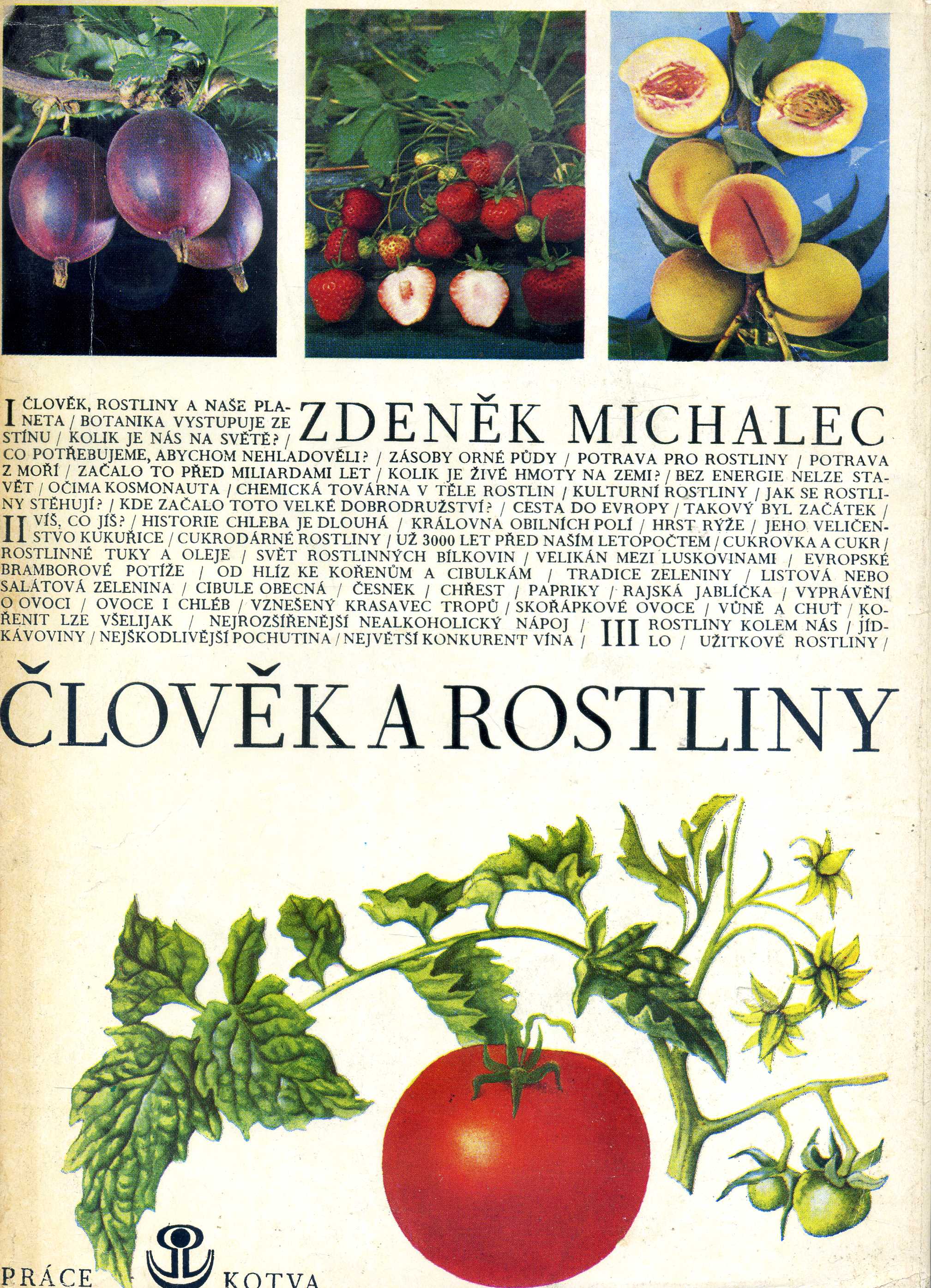 Člověk a rostliny