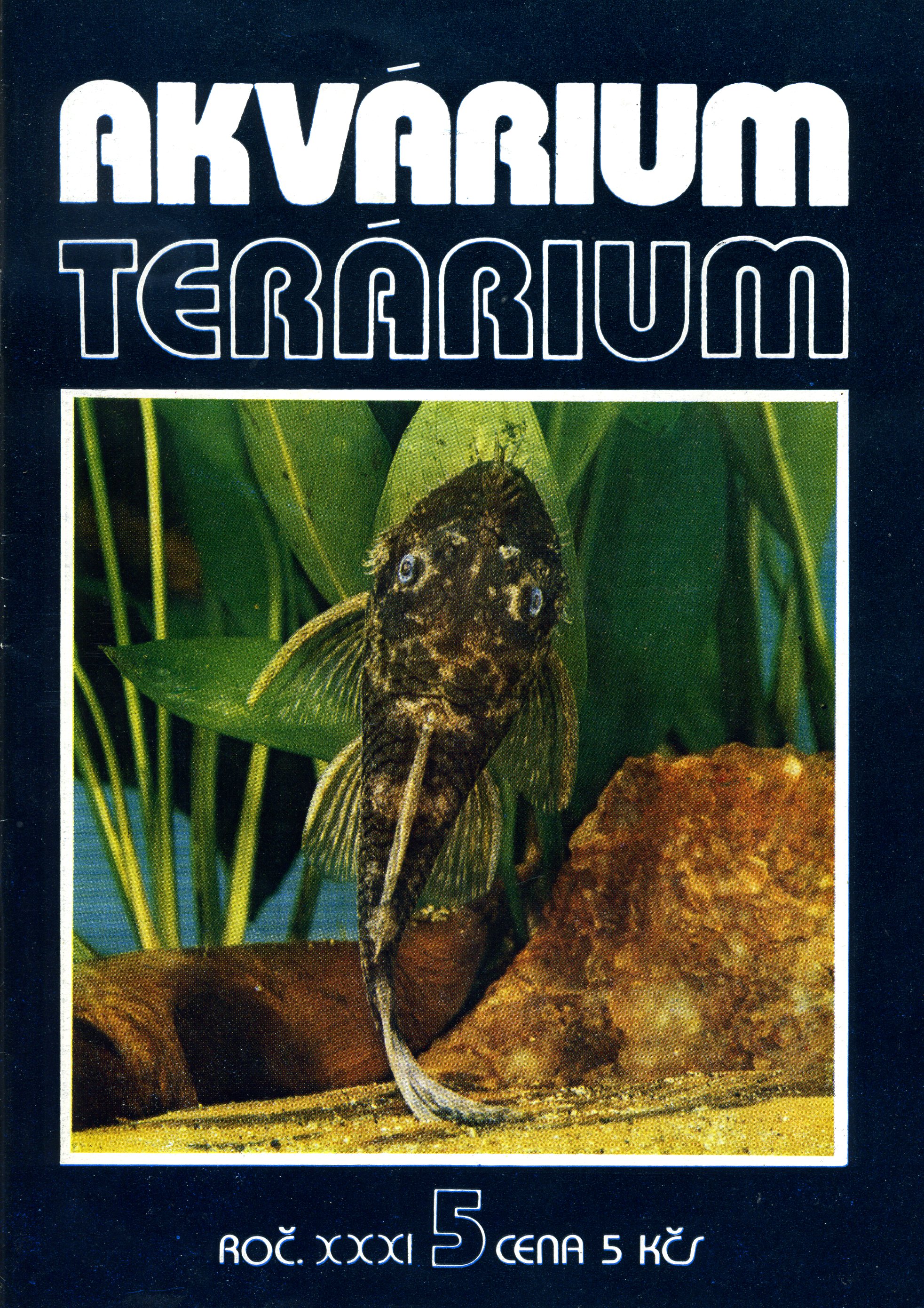 Akvárium terárium 5/1988