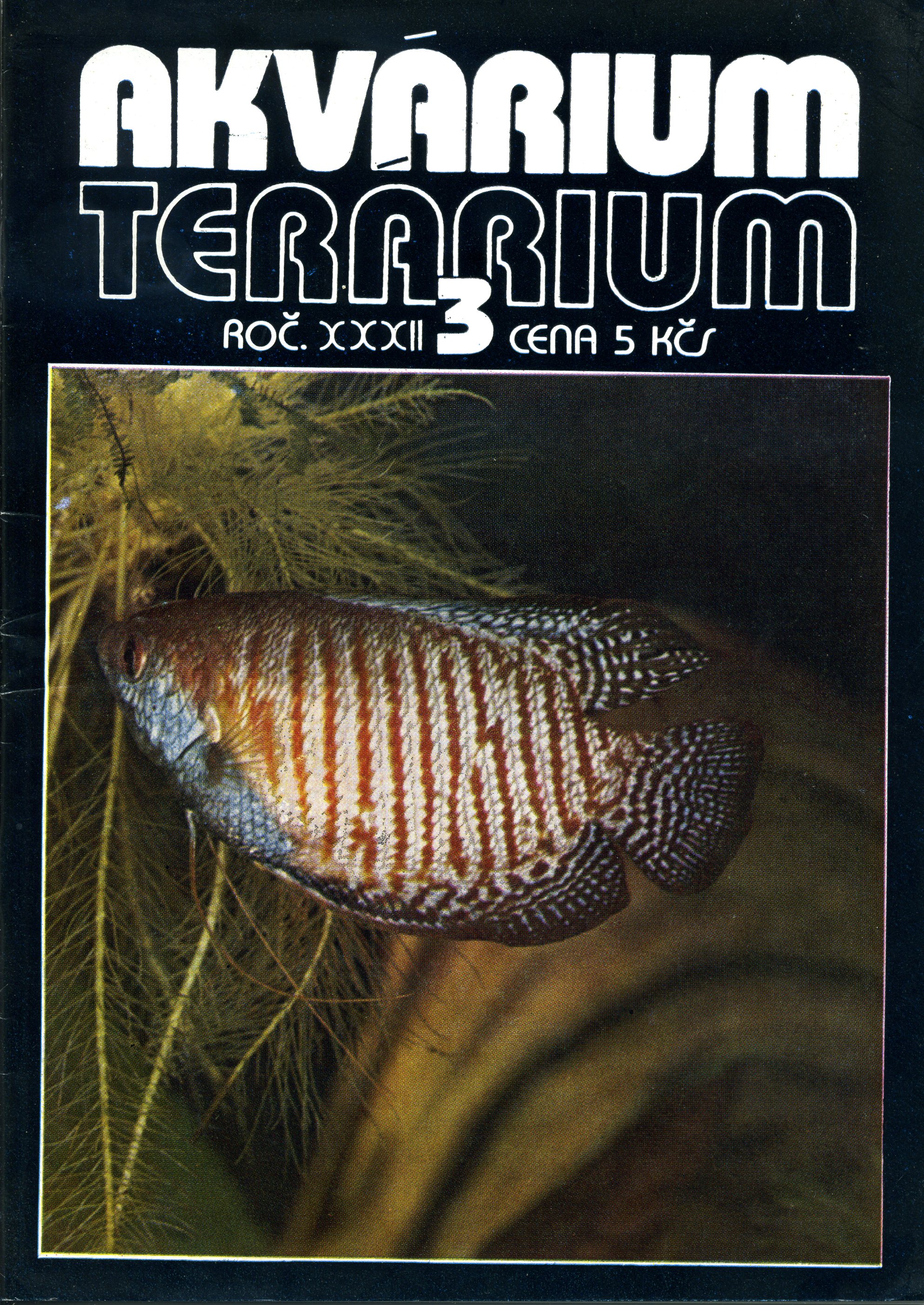 Akvárium terárium 3/1989