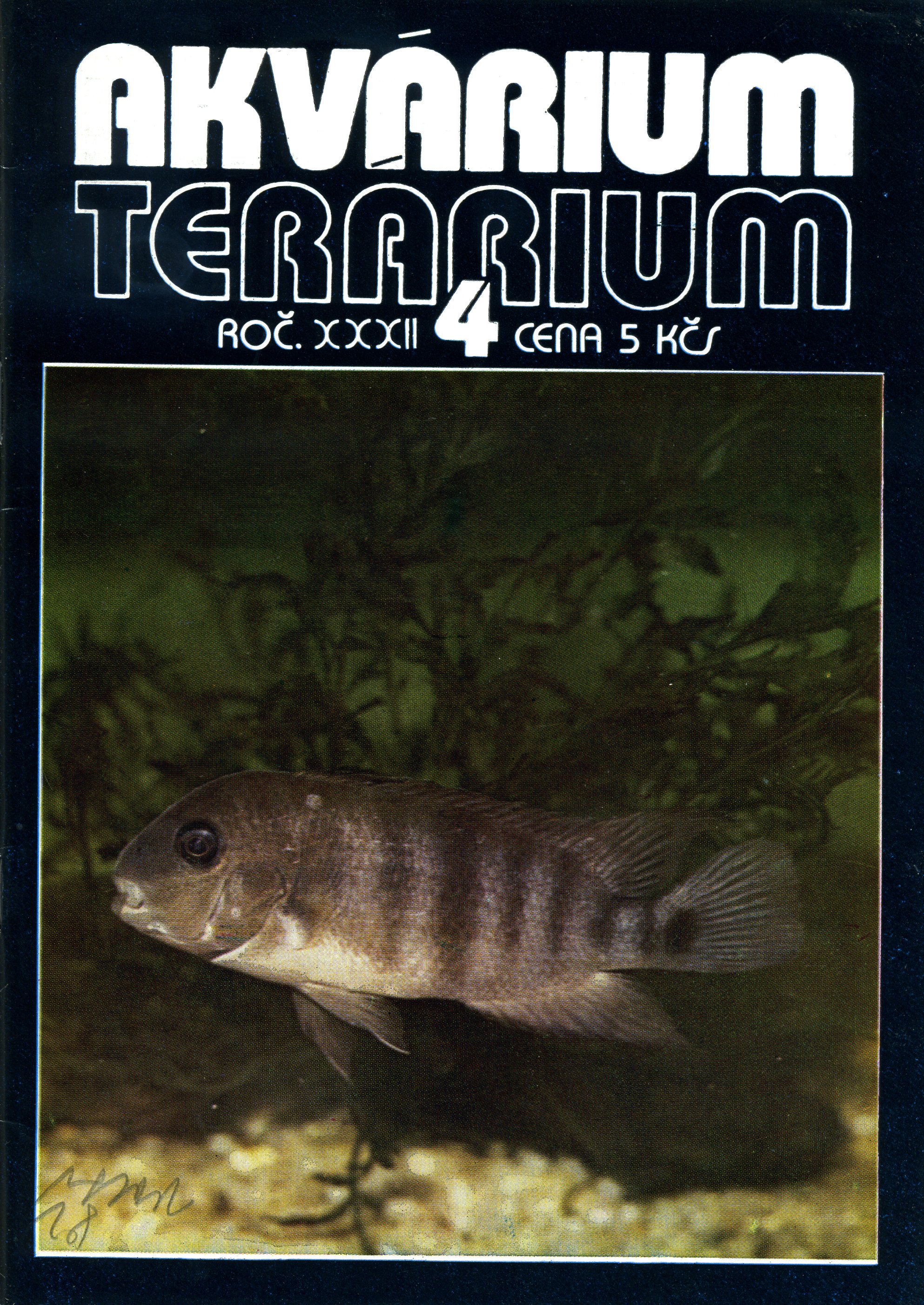 Akvárium terárium 4/1989