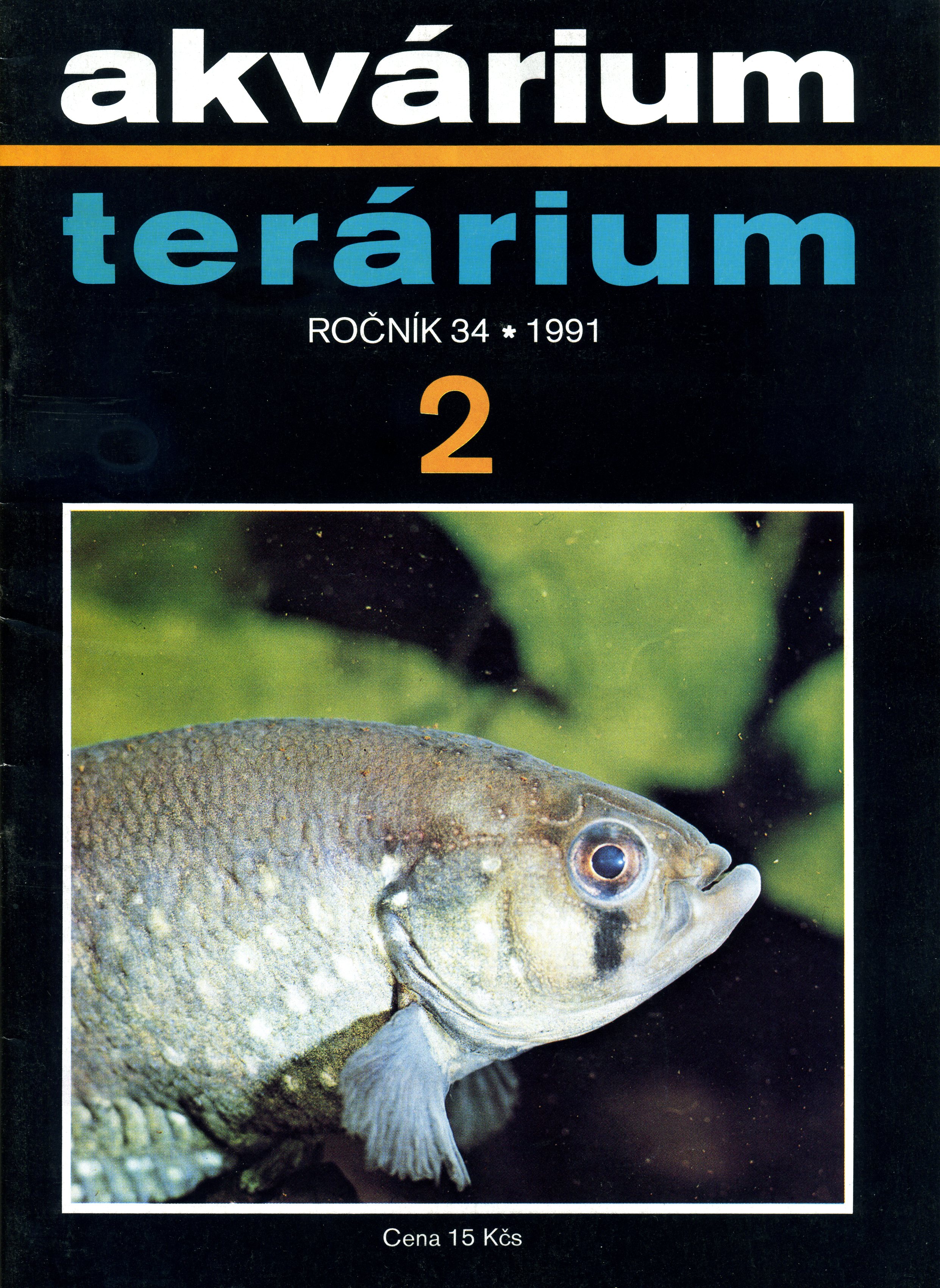Akvárium terárium 2/1991