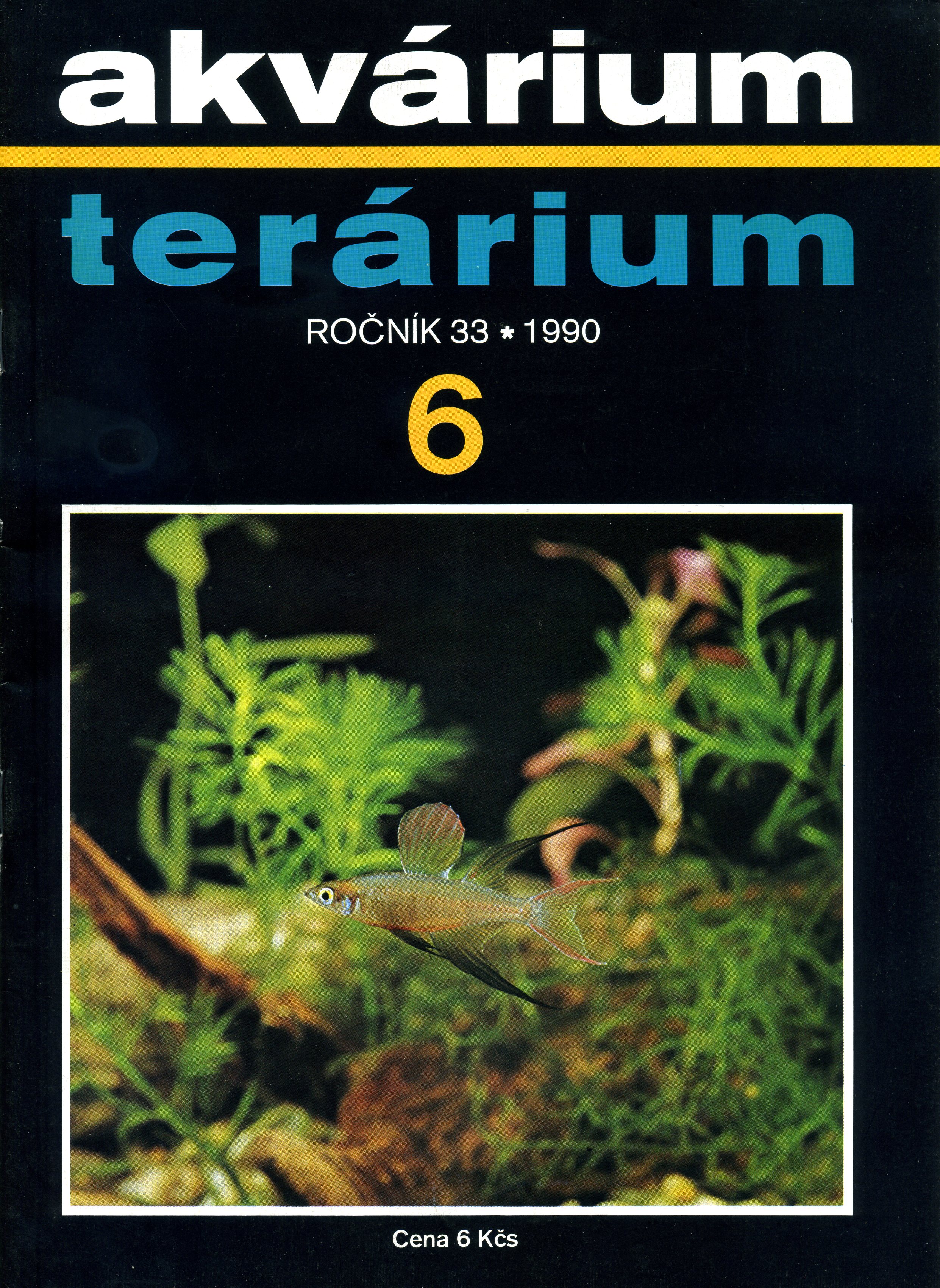 Akvárium terárium 6/1990