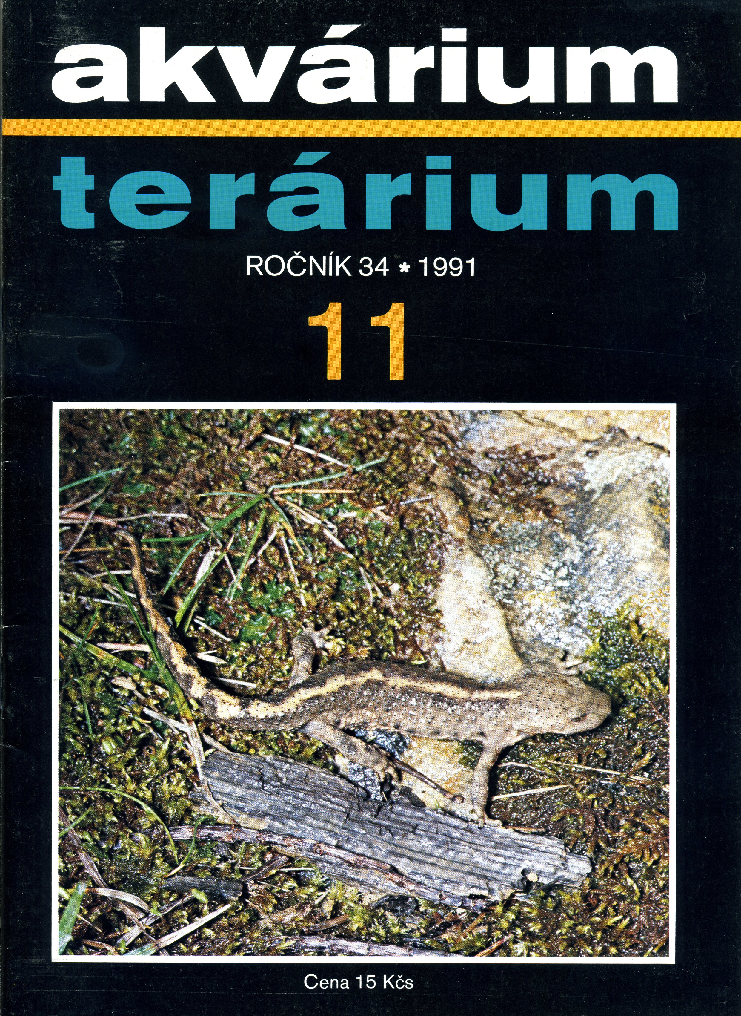 Akvárium terárium 11/1991