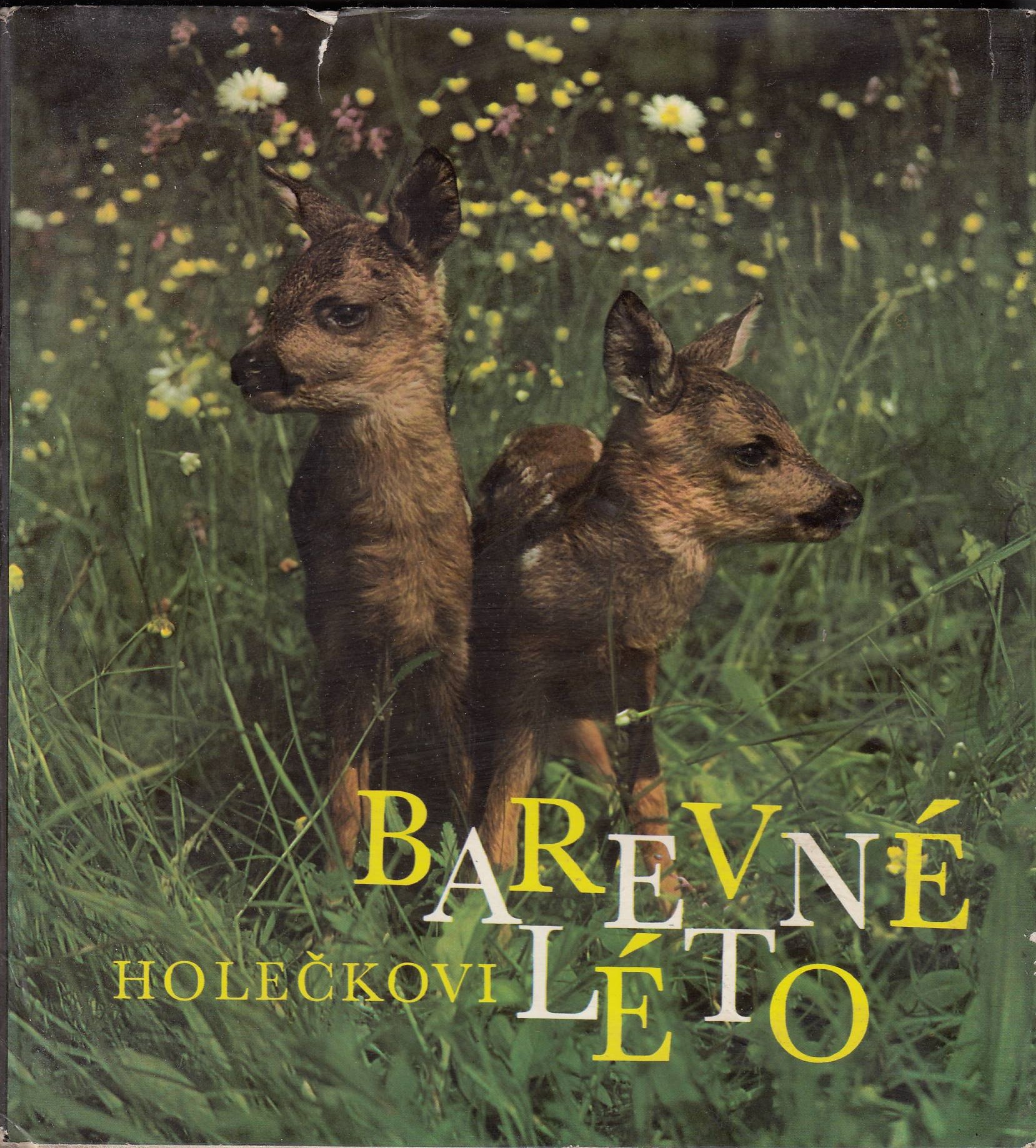 Barevné léto