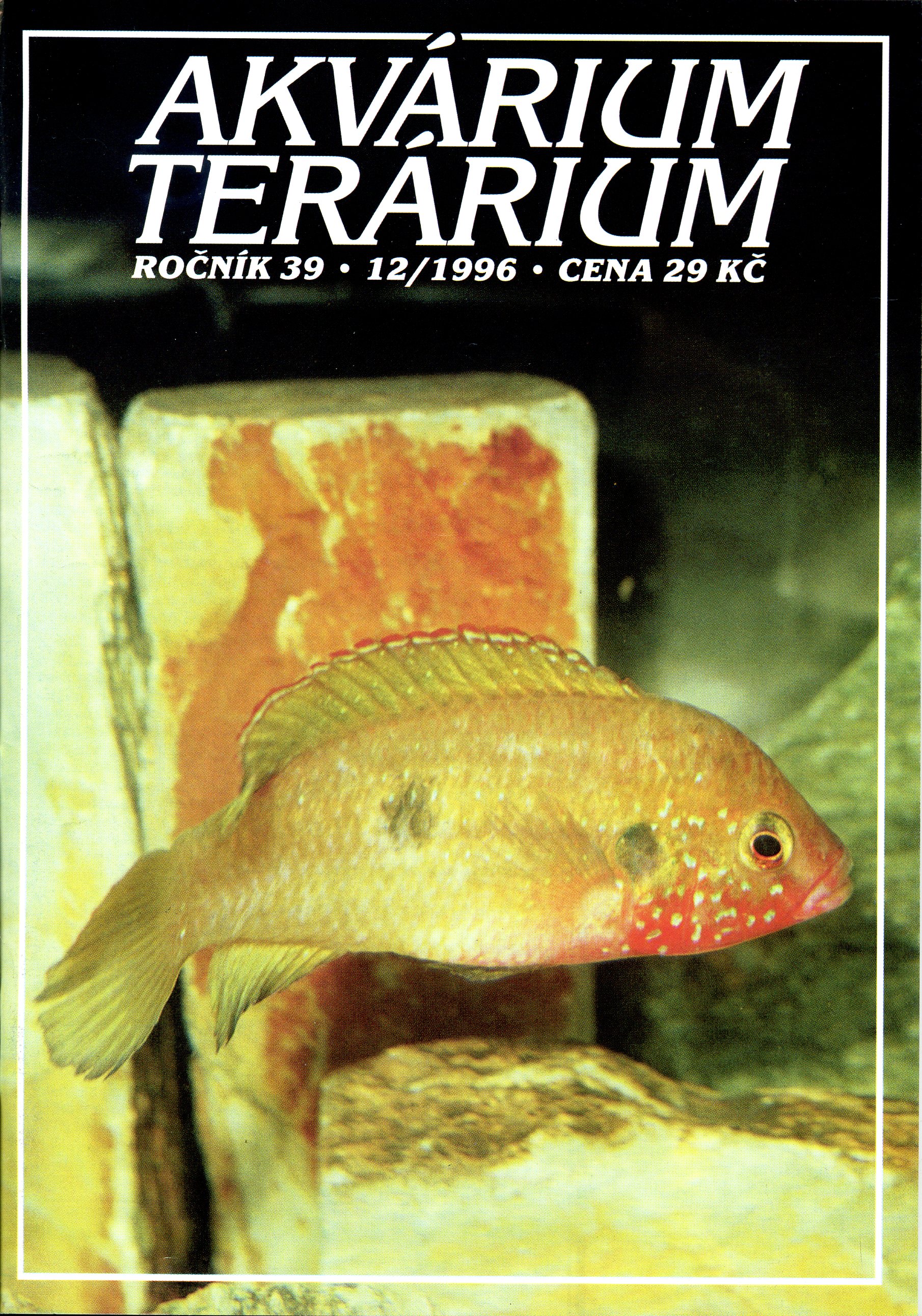 Akvárium terárium 12/1996