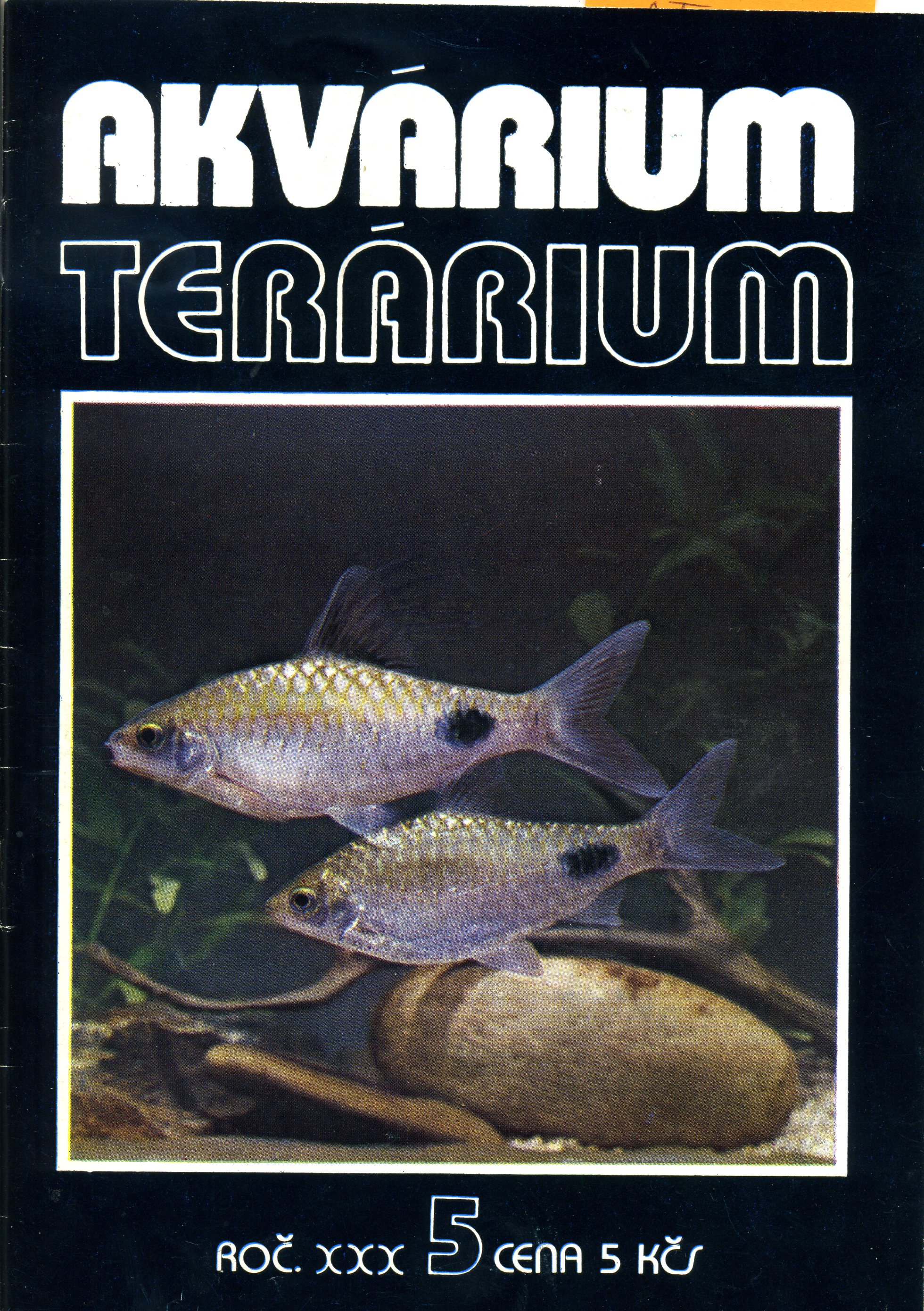 Akvárium terárium 5/1987