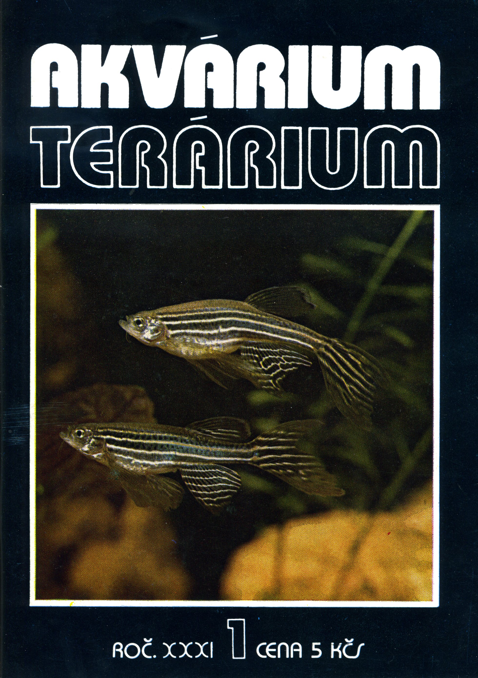 Akvárium terárium 1/1988