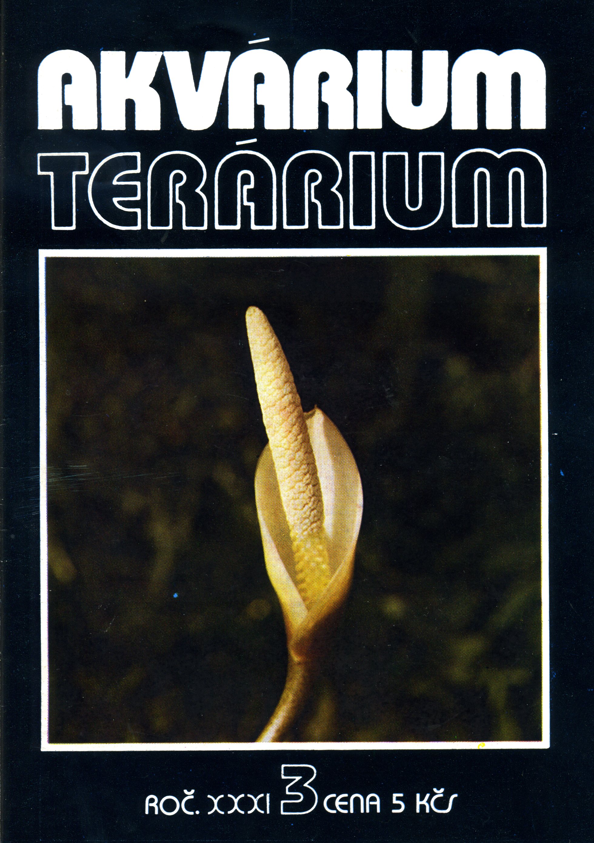 Akvárium terárium 3/1988