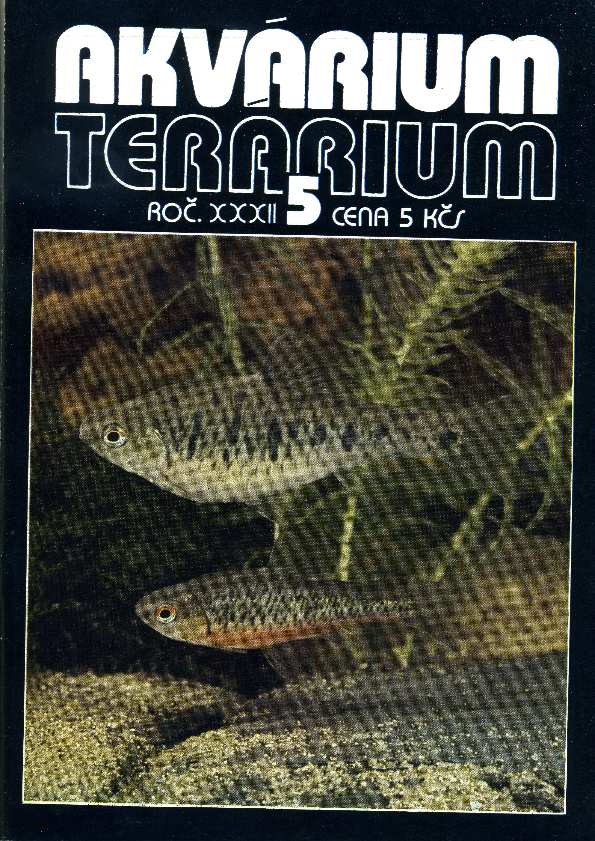 Akvárium terárium 5/1989