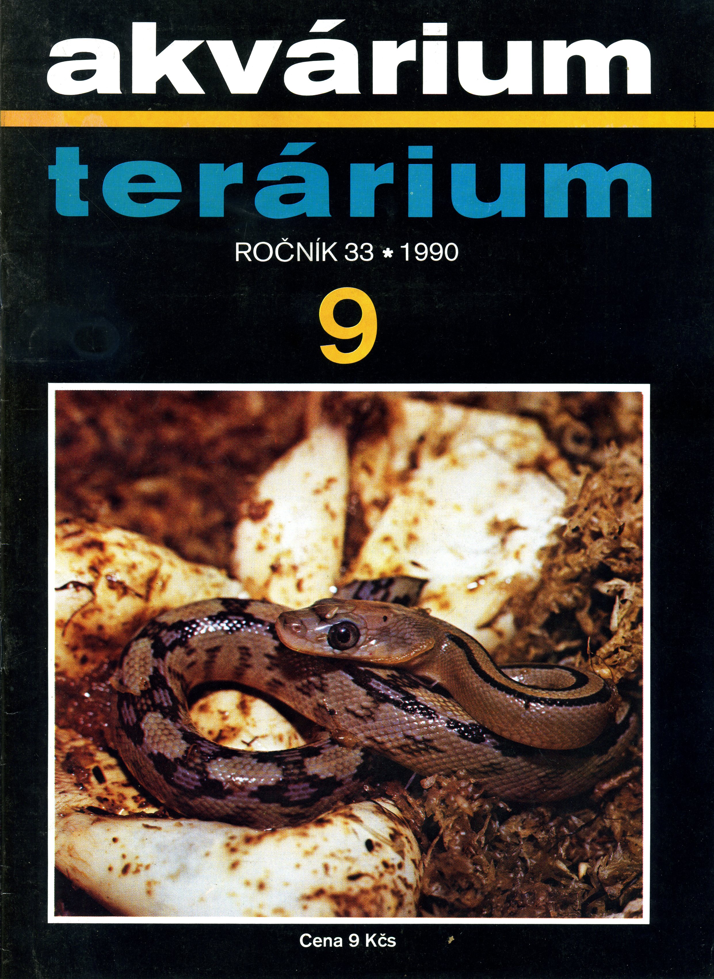 Akvárium terárium 9/1990