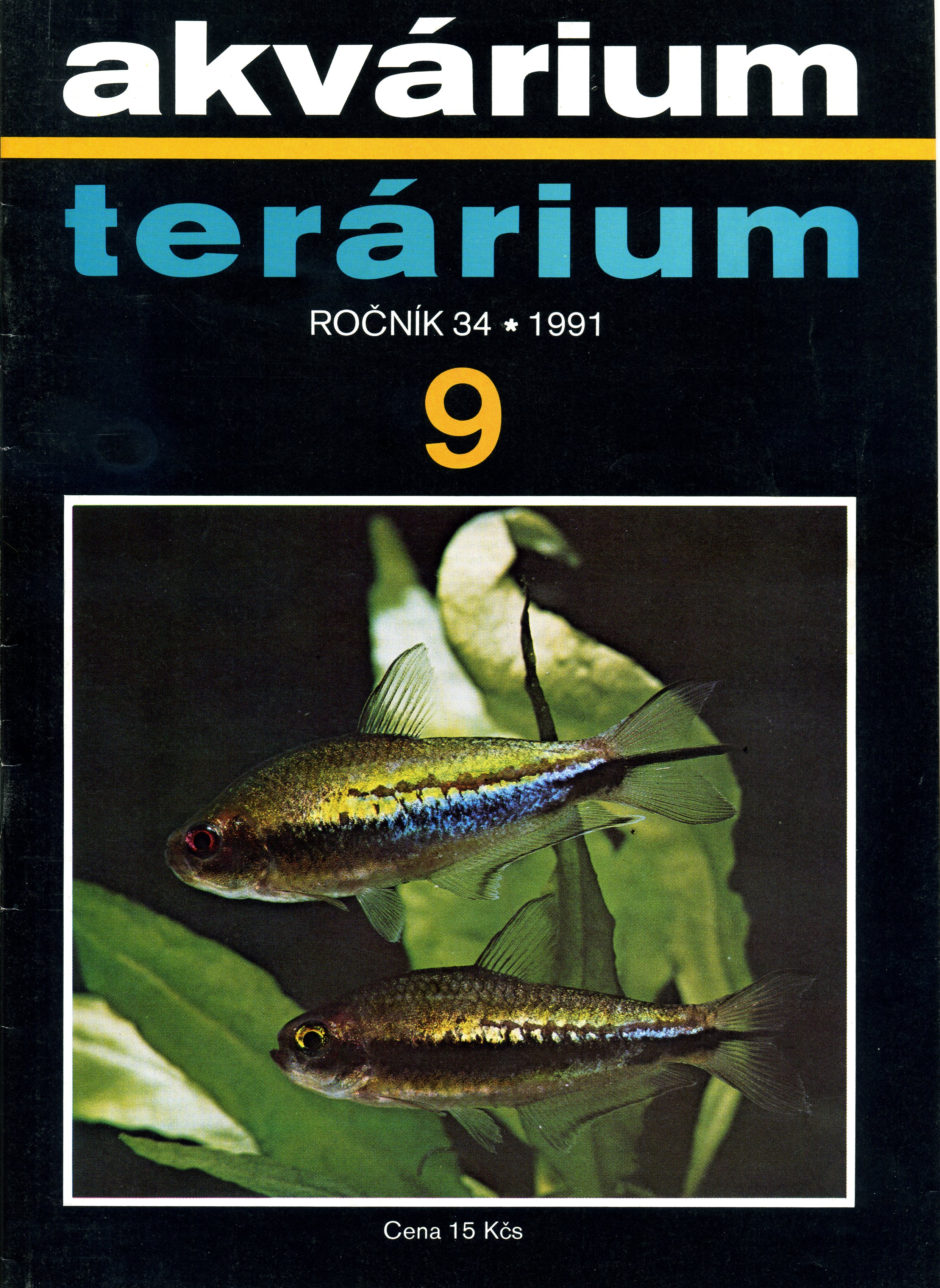 Akvárium terárium 9/1991