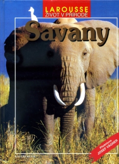 Savany - život v přírodě