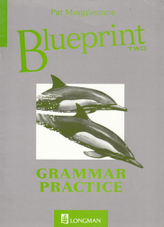Blueprint Grammar Practice